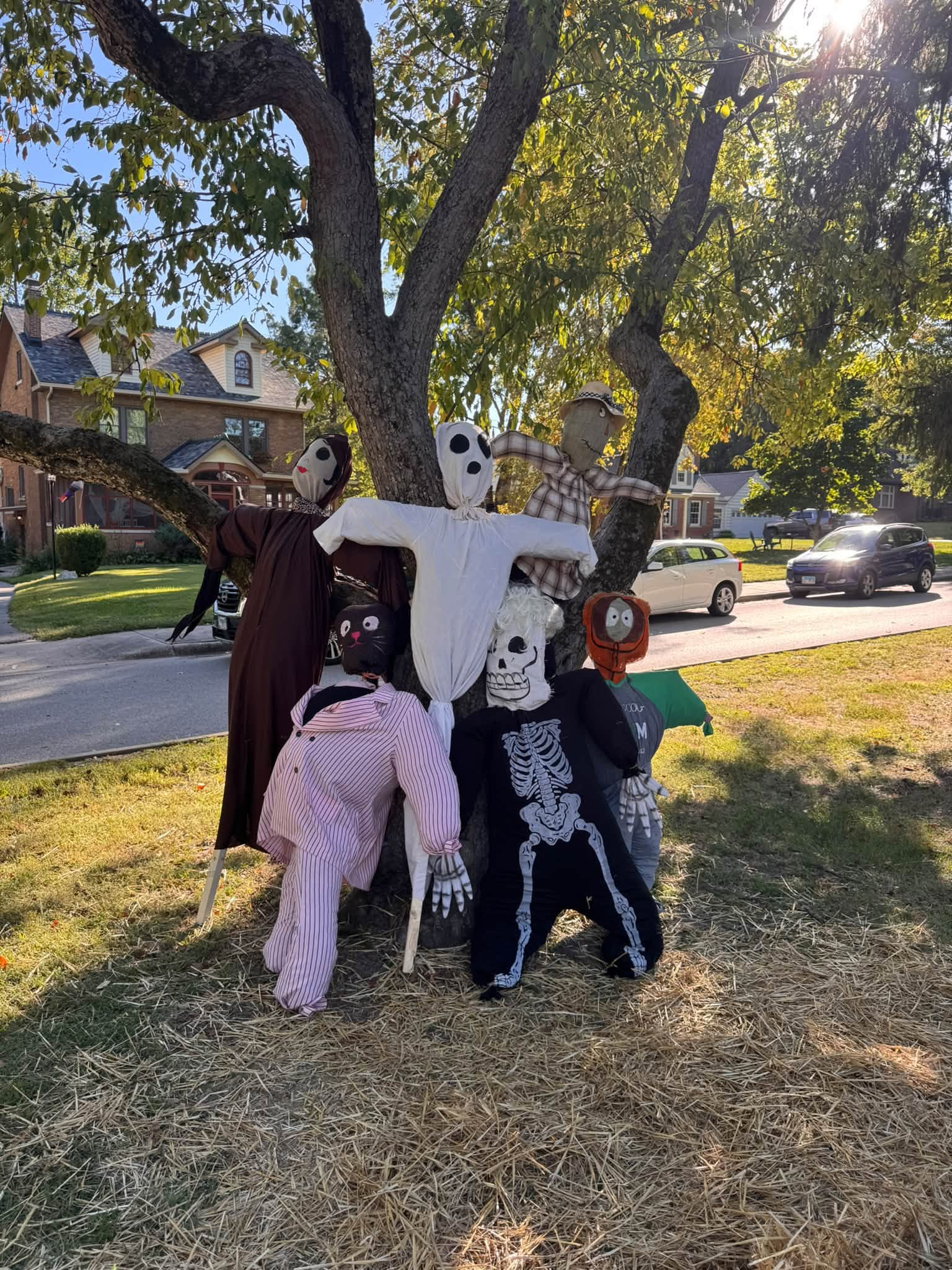 A group of handmade scarecrows arranged around a tree