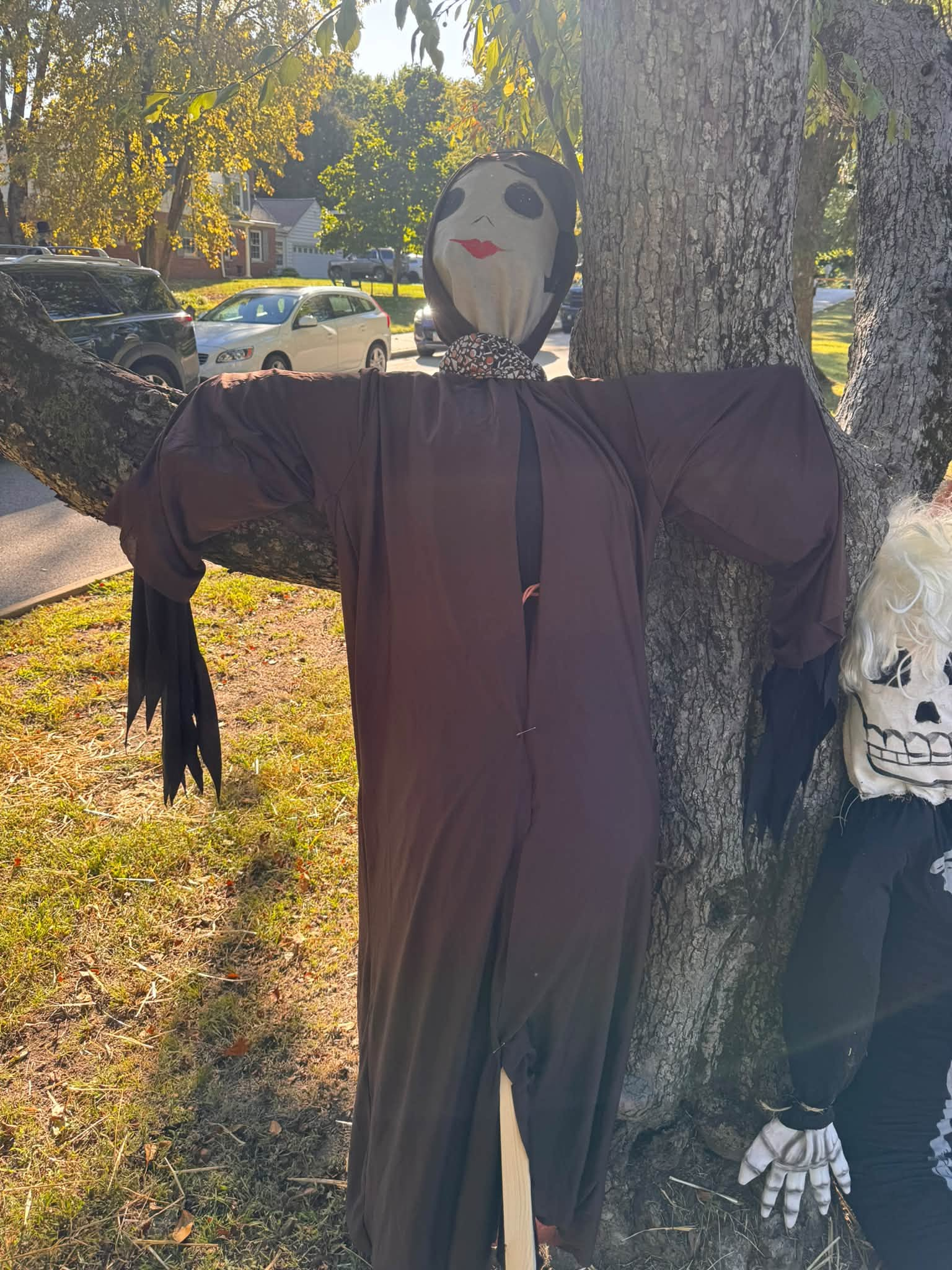 A brown-robed scarecrow standing against a tree